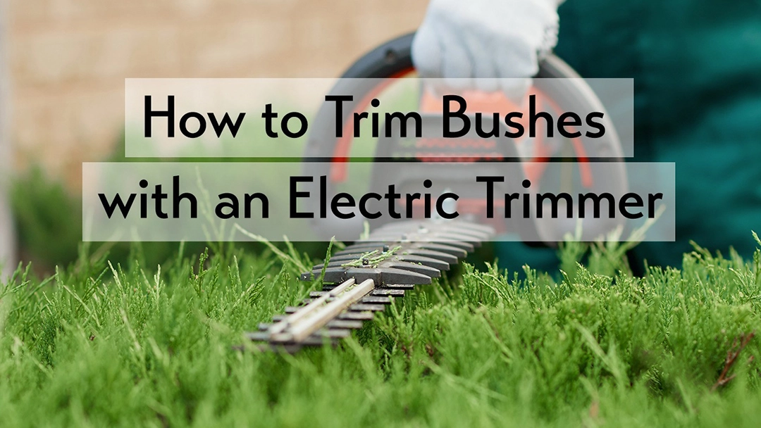 How-to-Trim-Bushes-with-an-Electric-Trimmer-ft